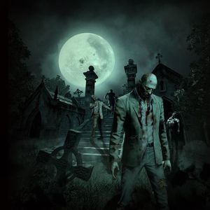 Meet your Posher, Damien